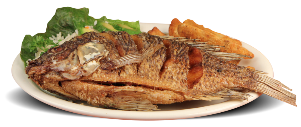 Authentic Mexican dish prepared fresh with traditional recipes at Little Mexico Restaurant