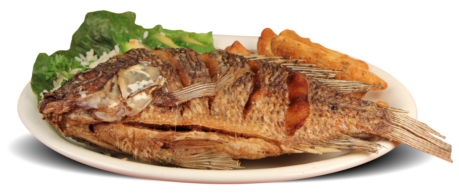 Authentic Mexican dish prepared fresh with traditional recipes at Little Mexico Restaurant